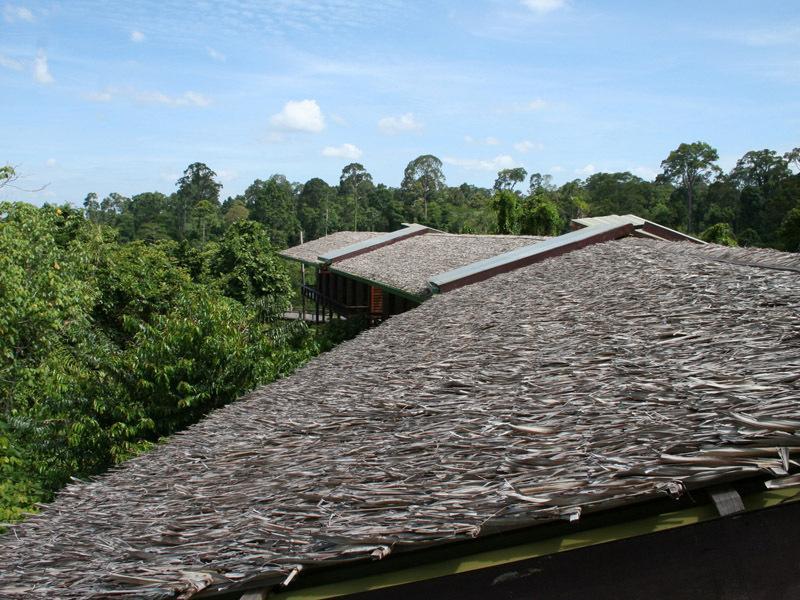 Paganakan Dii Tropical Retreat Sepilok Cameră foto
